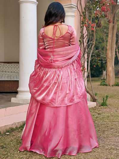 Butterfly Embroidered Lehenga Set