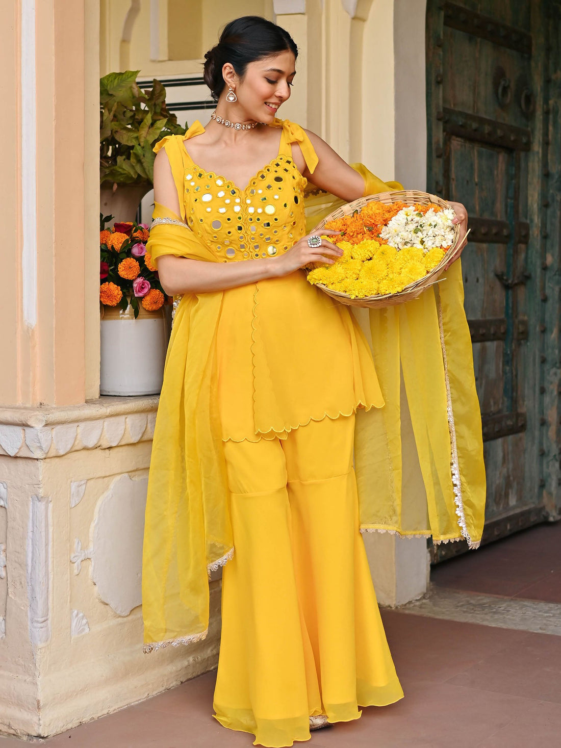 Elegant Zari & Mirror Sharara