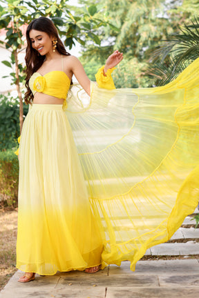 Rozy Yellow Popsicle Set