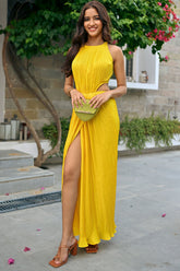 Nina Pleated Draped Dress