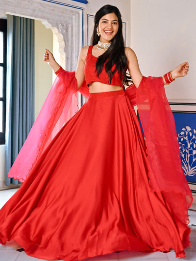 Red Handwork Blouse Lehenga Set