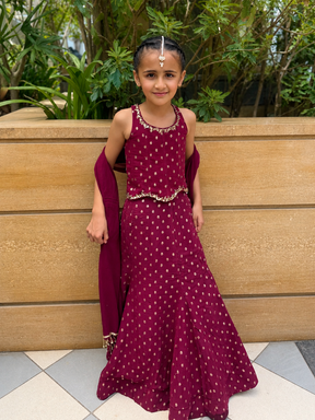 Wine Lehenga Set